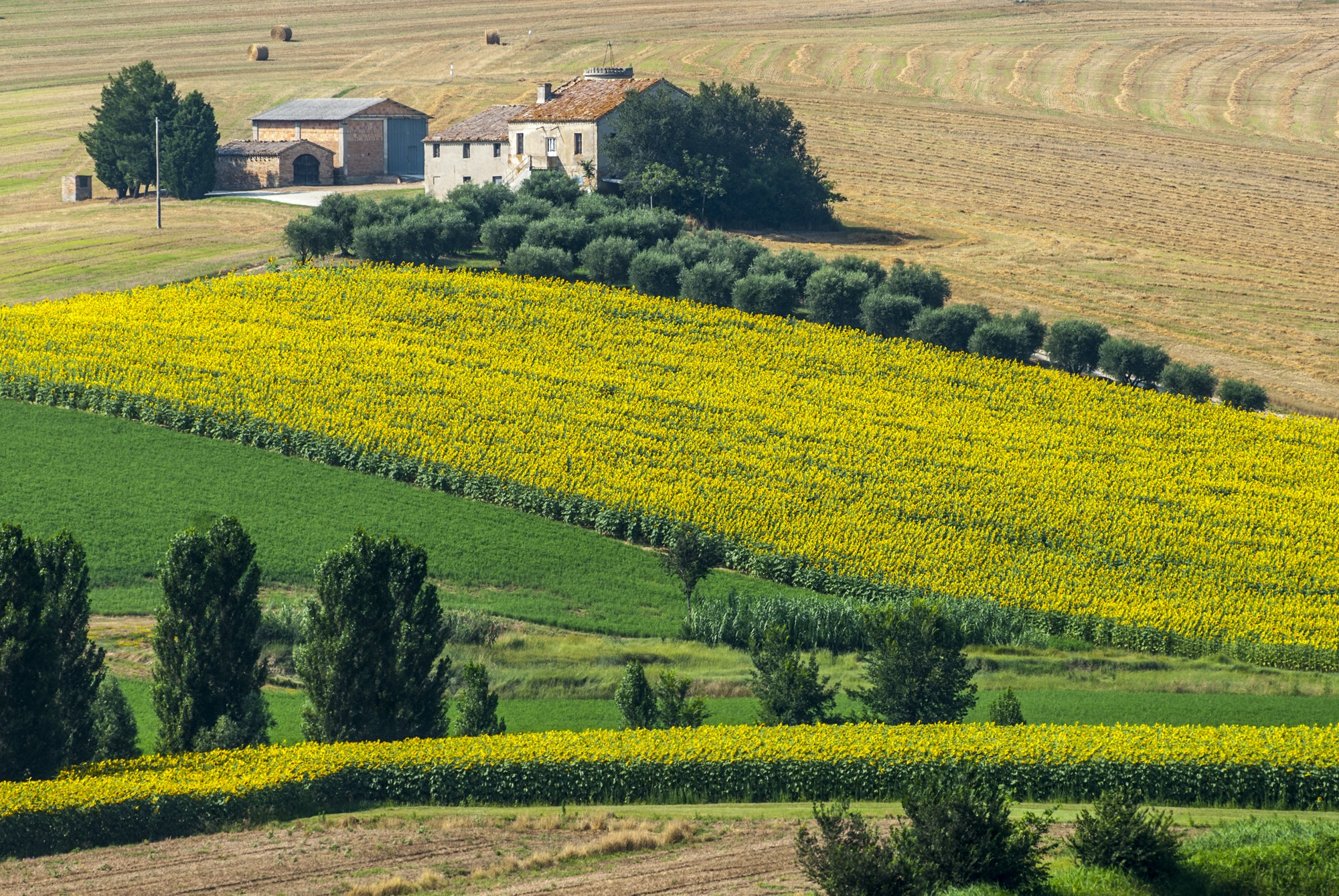 Marches (Italy) - Farm